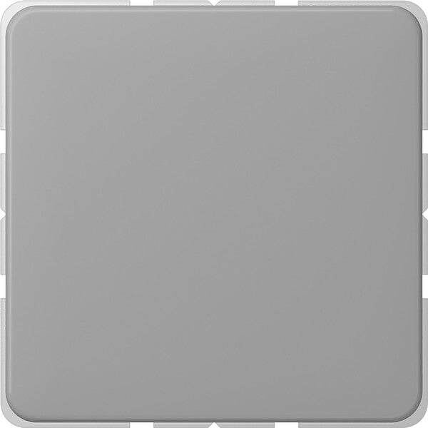 JUNG Blind-Abdeckung gr kompl.mit Tragring CD 594-0 GR